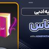 آرایه ادبی جناس